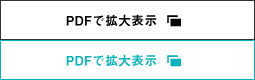 PDFで拡大表示