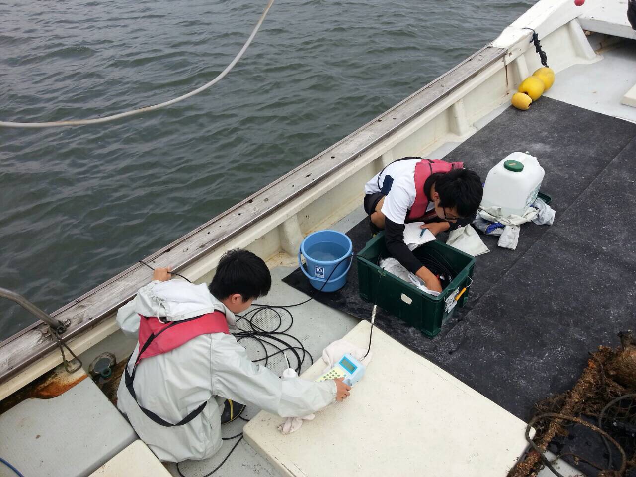 水域調査